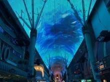 ラスベガスナイト・デラックスツアー