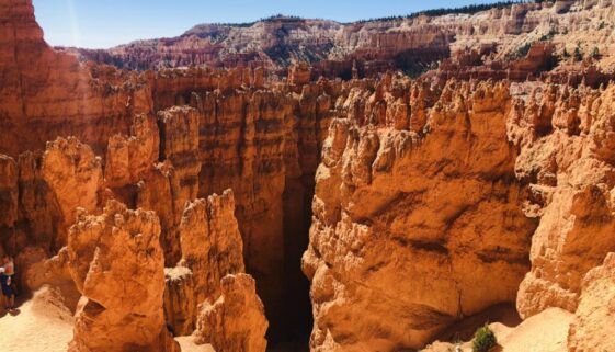 Bryce-Canyon_3595