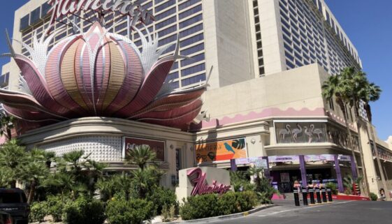 IMG_7525 Flamingo