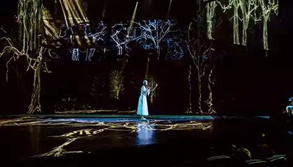 シルクドソレイユ　ラブ