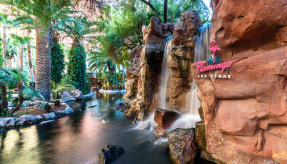 Flamingo Wildlife Habitat at Flamingo Las Vegas (2) Flamingo