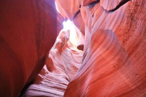 line_oa_chat_221010_104524