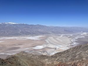 ダンデスビュー