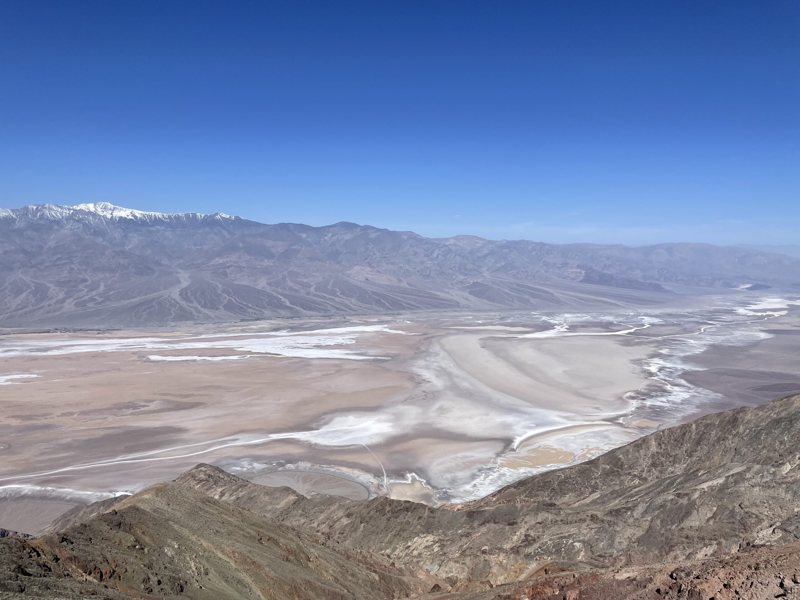 ダンデスビュー