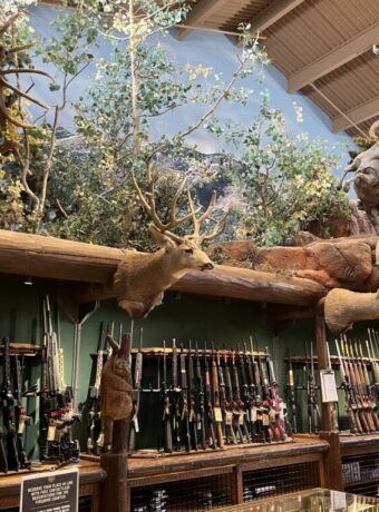 Bass Pro Shops, Las Vegas, NV