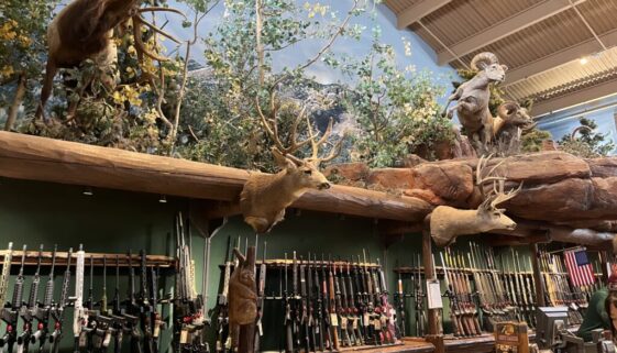 IMG_0638 Bass Pro Shops, Las Vegas, NV