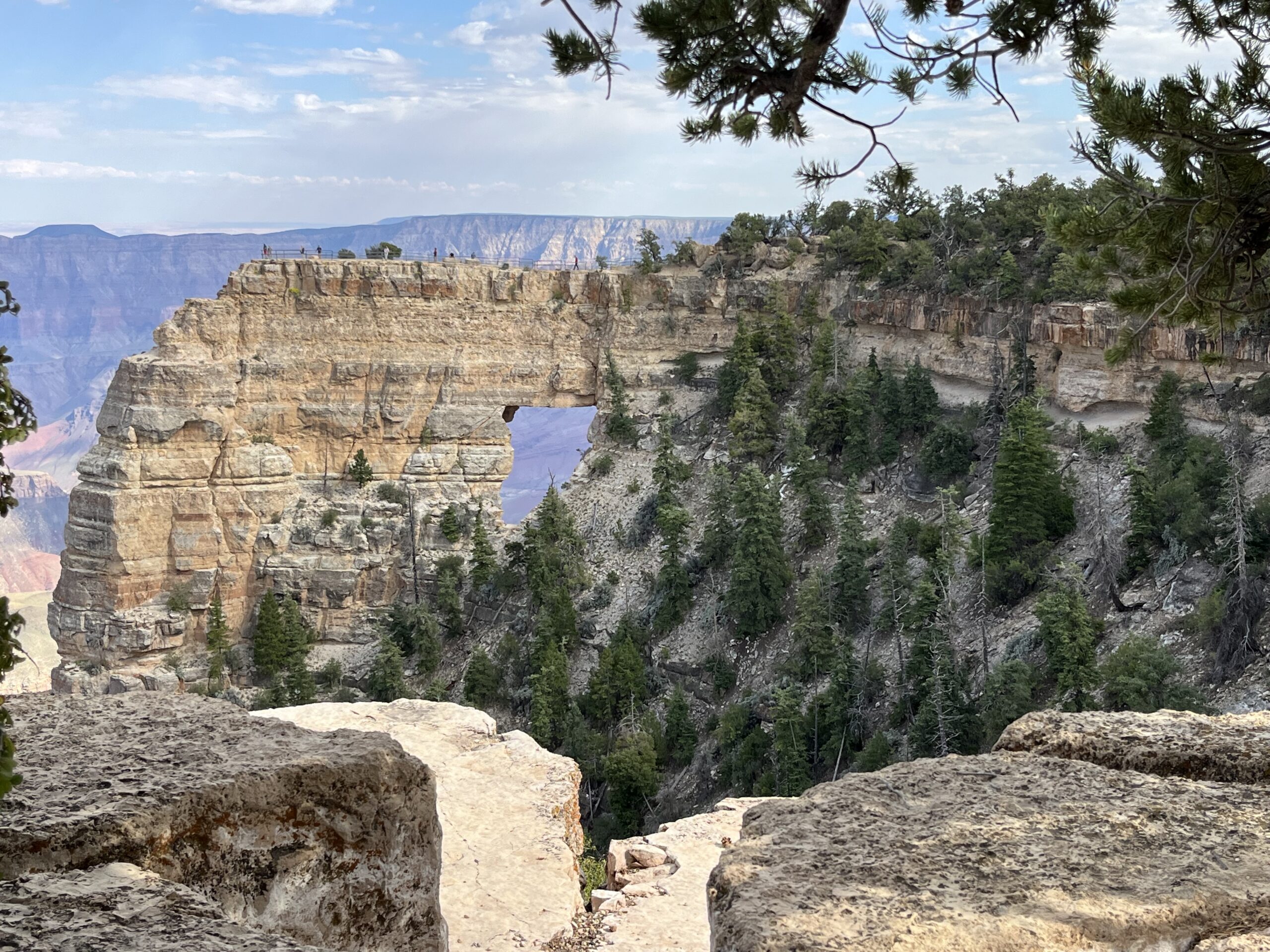 Grand Canyon North Rim