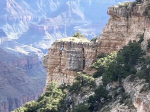 Grand Canyon North Rim